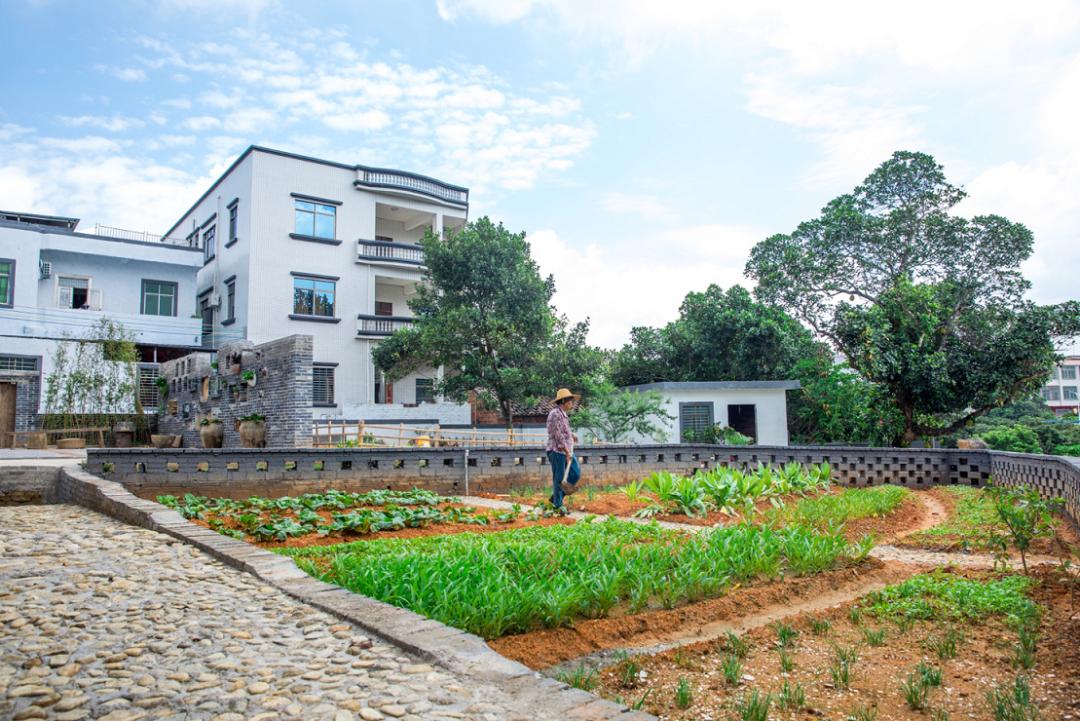 饶平县农业厅厅长顾幸伟,顾幸伟出台广东宅基地政策