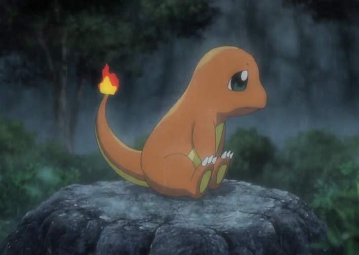 小火龙尾巴上的火焰熄灭就会死,小火龙会爬出缸吗