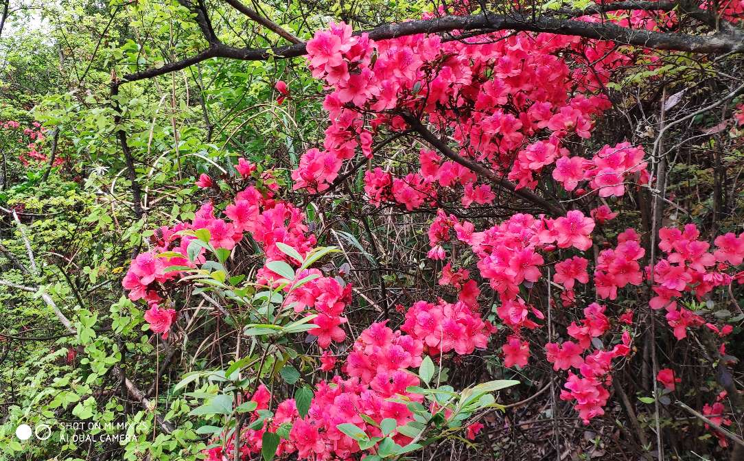 桂林第一山尧山风景区,桂林第一山