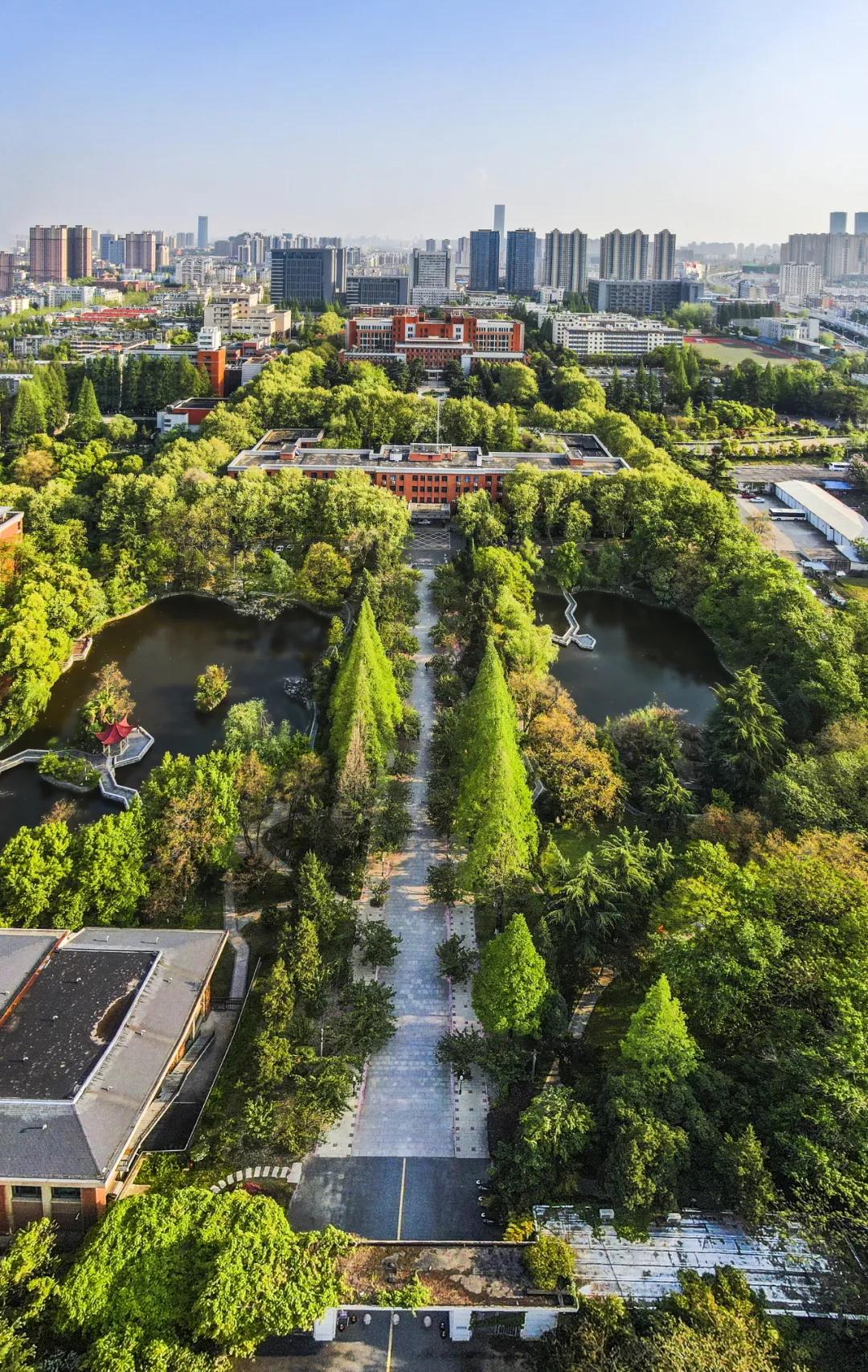 全国最敢赌的城市,逆风翻盘