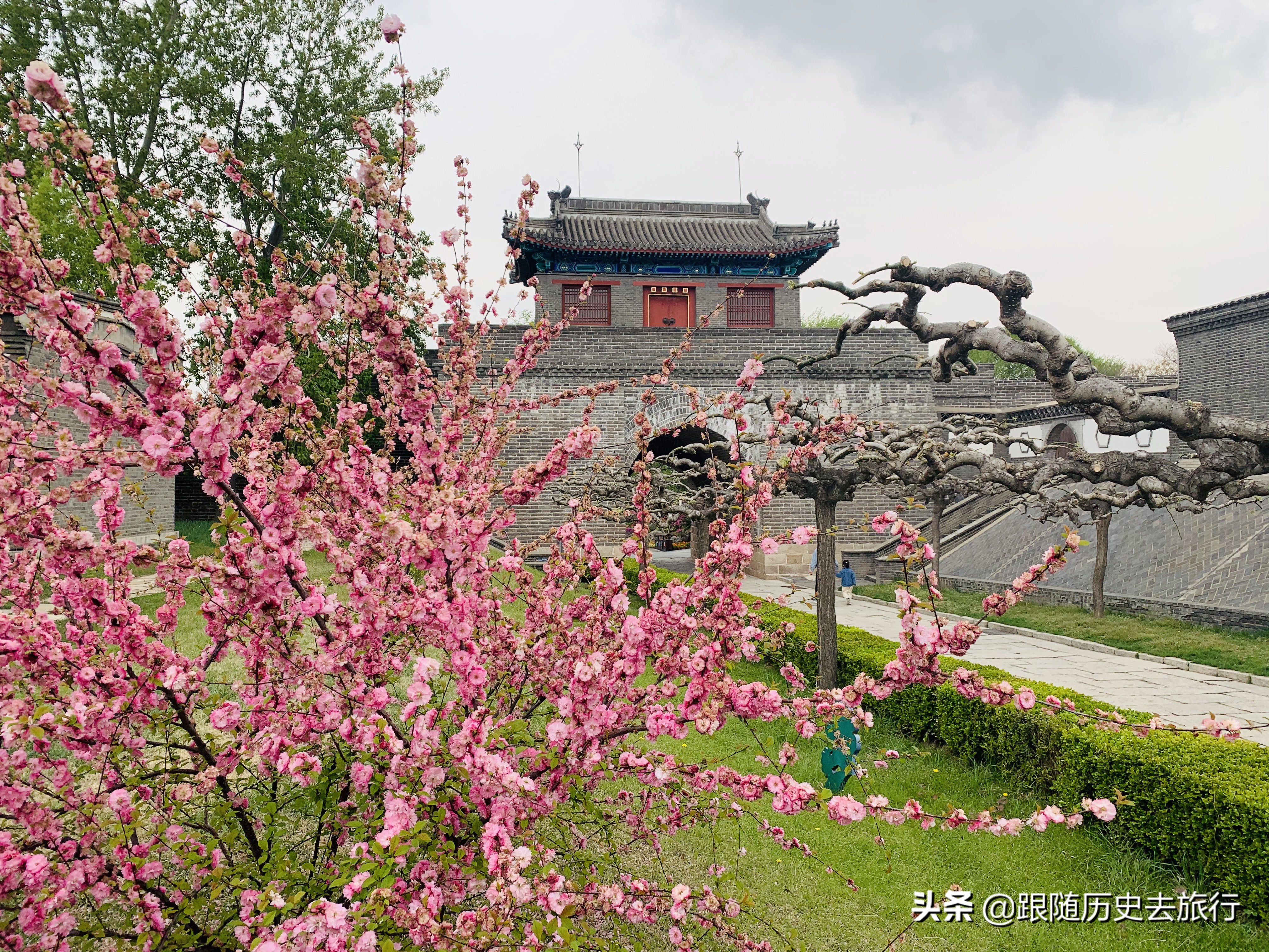 秦皇岛古长城美如画,万里长城老龙头俯视图