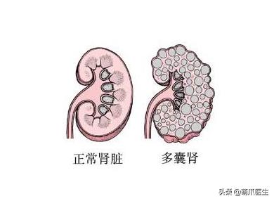 我就是馋猫的身子，没别的！