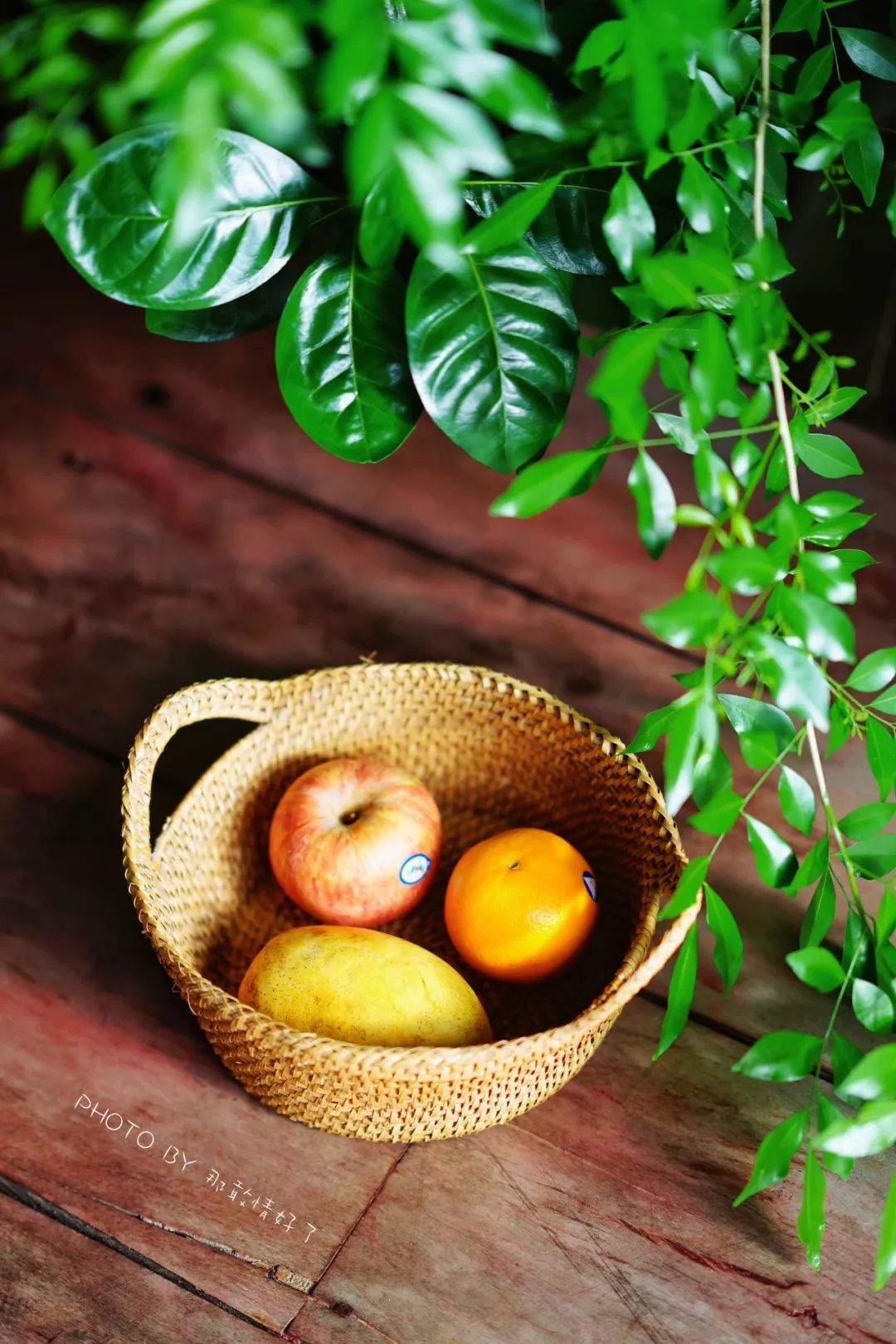 菲律宾冷门景区 (菲律宾锡基霍尔岛冲浪)