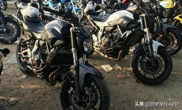 圈内人揭秘水车,水车内幕大揭秘