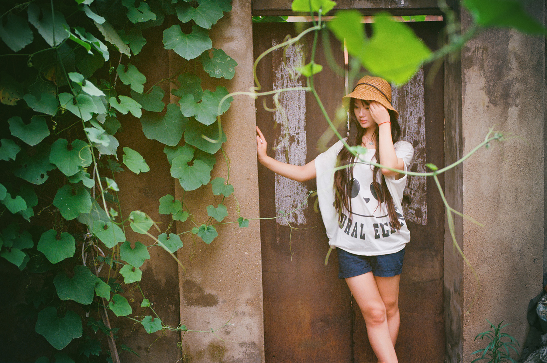 尼康2021年新相机,尼康2021年新相机及镜头展望