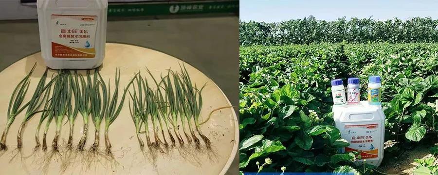 盐碱地不适宜植物生长是因为,盐碱土地为什么不能生长