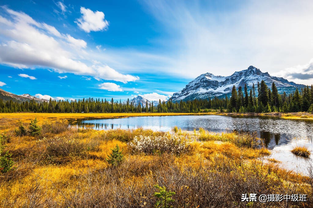 摄影构图三大禁忌,摄影构图常犯的错误新手必须谨慎
