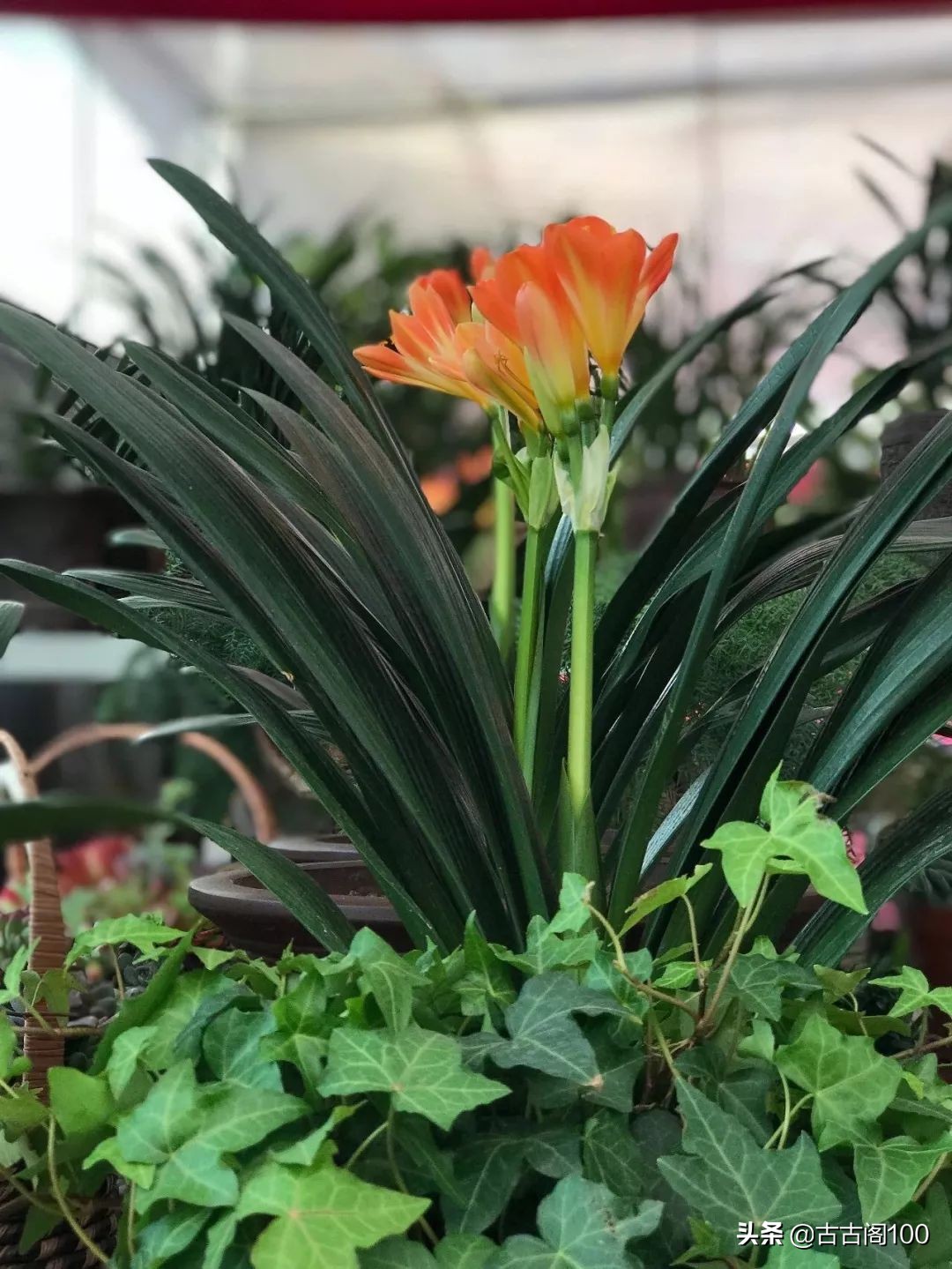 与兰亭对应的书法圣地,兰亭书法纪念馆