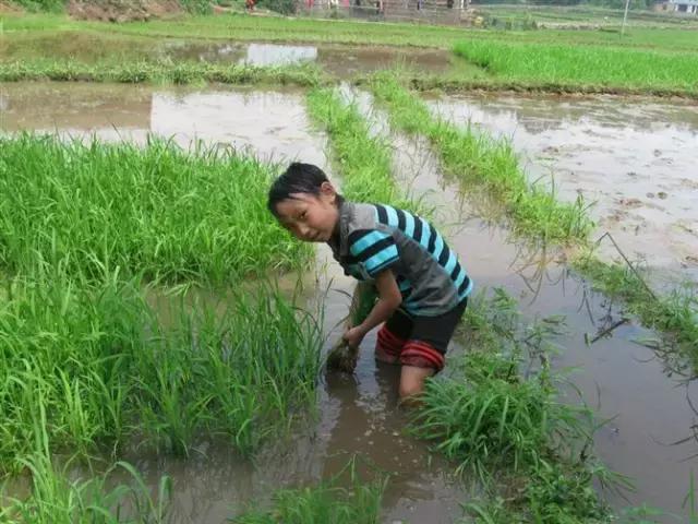 人越老越喜欢回忆过去,人一旦老了就特别爱回忆