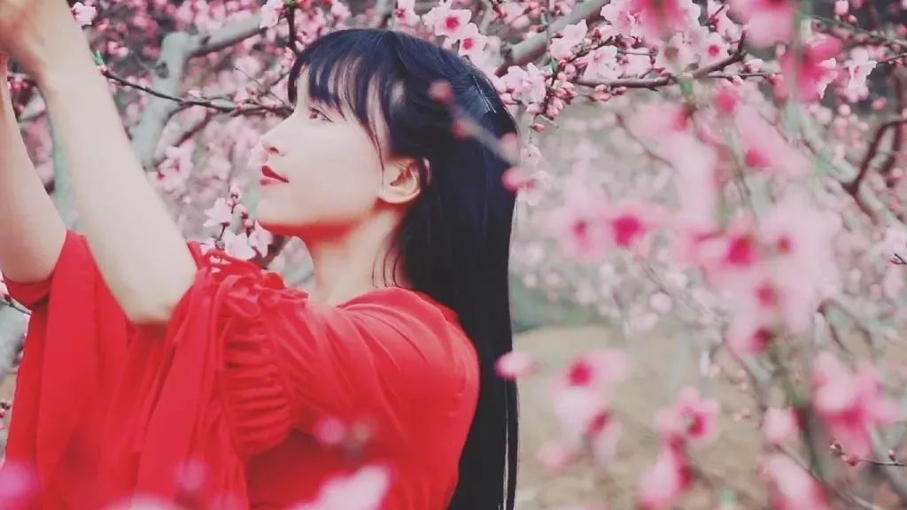 不可错过的最新营销案例,十大经典借势营销案例