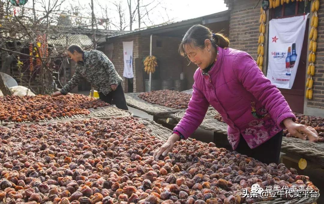 水果代办赚差价,水果贵有贵的道理