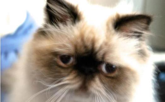 屁股总是胀胀的,是想要排便吗?原来大部分女性都会有这种情况