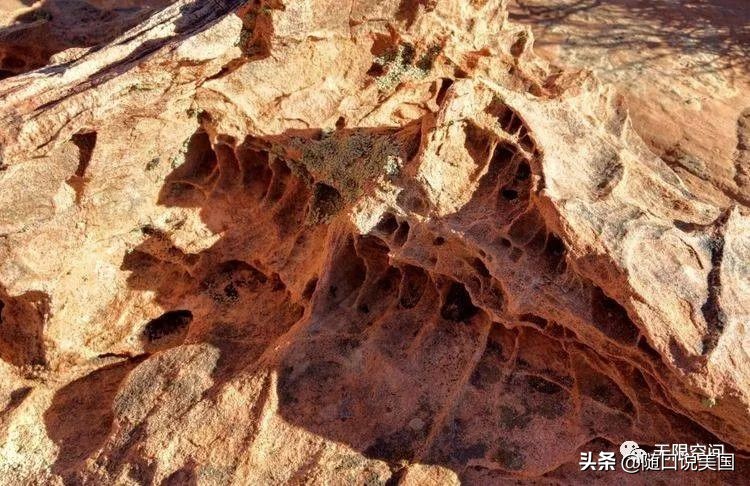 荒野乱斗流彩伊芙强度,荒野行动榴弹怎么用