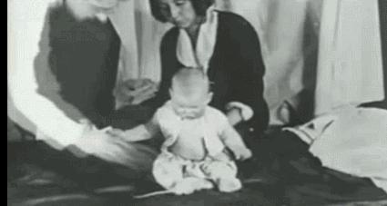 害怕小动物怎么解决,小孩害怕各种动物怎么回事