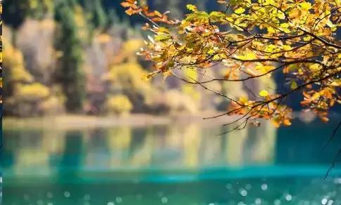 找熟人办事，可能是财商最低的一件事