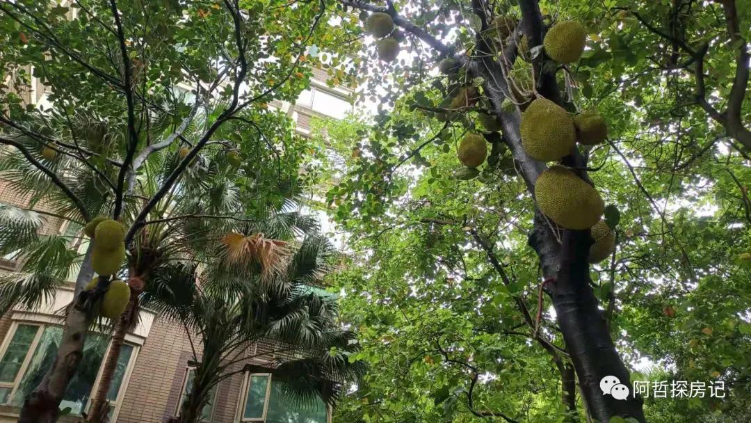 天河区豪宅排名,天河汇景新城别墅