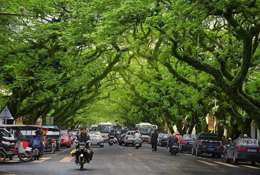 海南1号旅游公路,海南中国公路