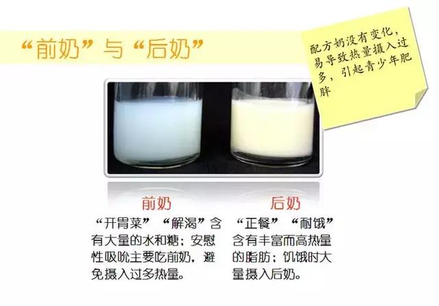 前奶、后奶、稀奶、稠奶,究竟哪个营养值高?区别是什么
