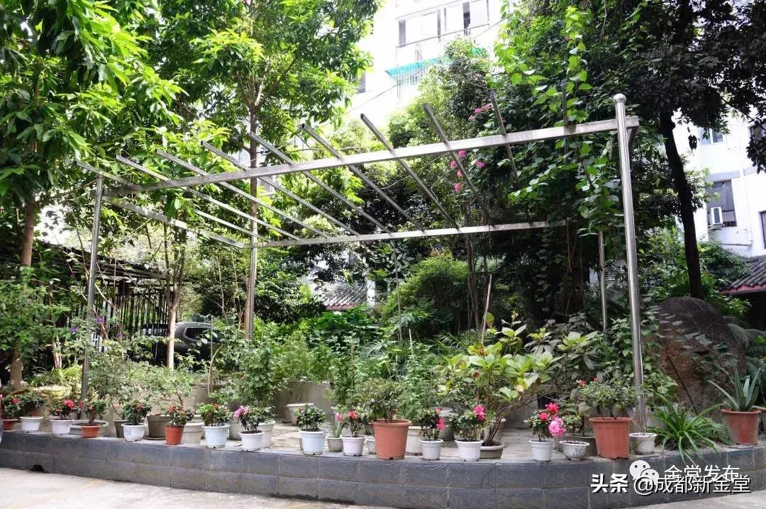 成都金堂服务员,金堂县装修师傅