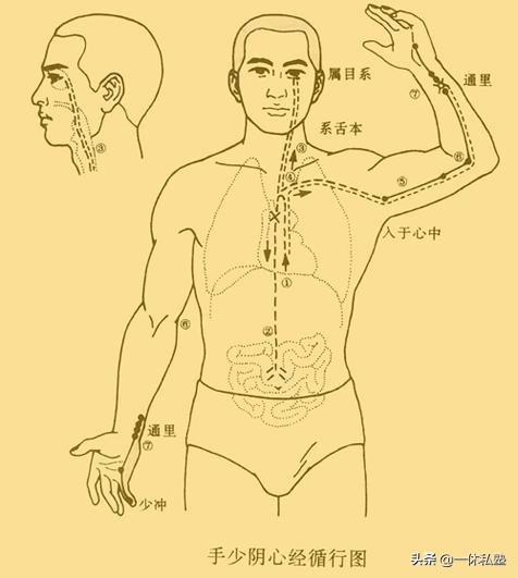 百病源于淤堵怎么治疗,经络通百病除经络堵百病生