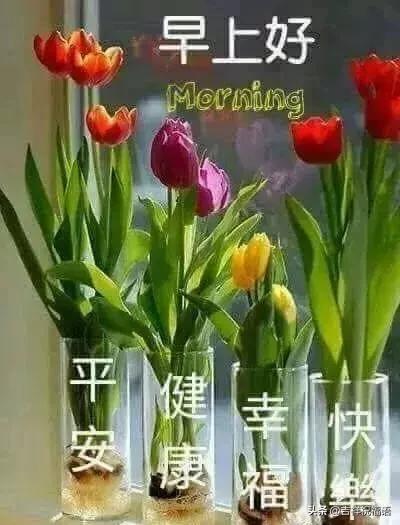 暖心祝福早上好的问候语,冬天早晨问候早上好的暖心句子