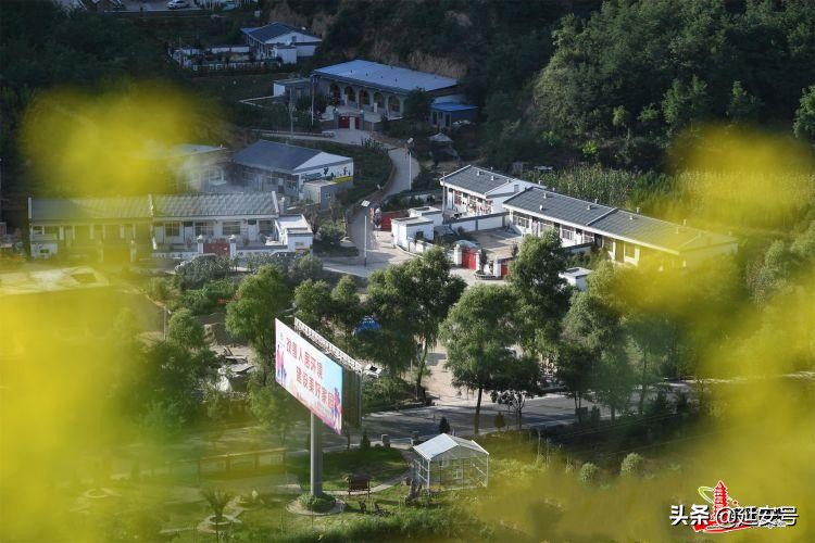 鍔涢噺2020,鍔涢噺2022