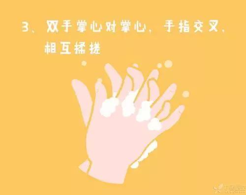 香港淘大花园怎么样,香港淘大花园是在哪里