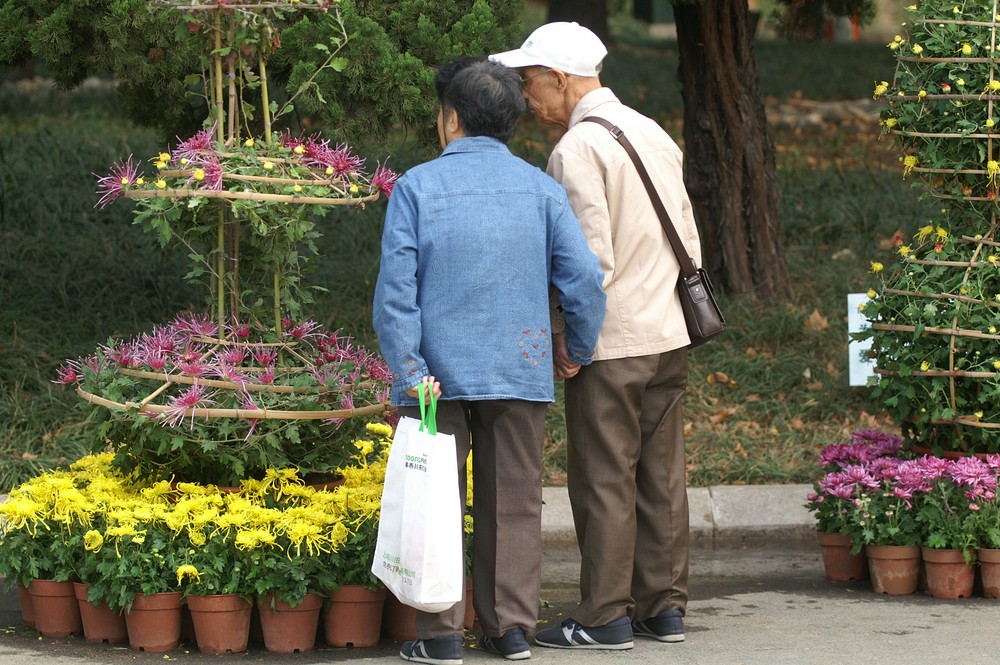 相濡以沫是怎样解读的,相濡以沫和相忘于江湖的故事