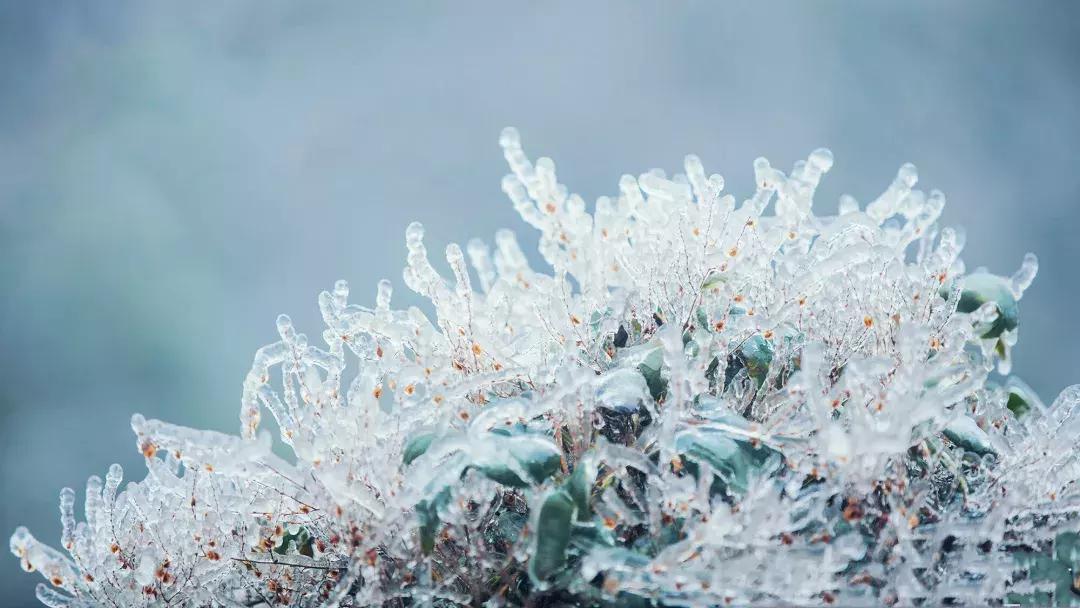 贵阳云雾山云海,贵阳云雾山雾凇旅游攻略