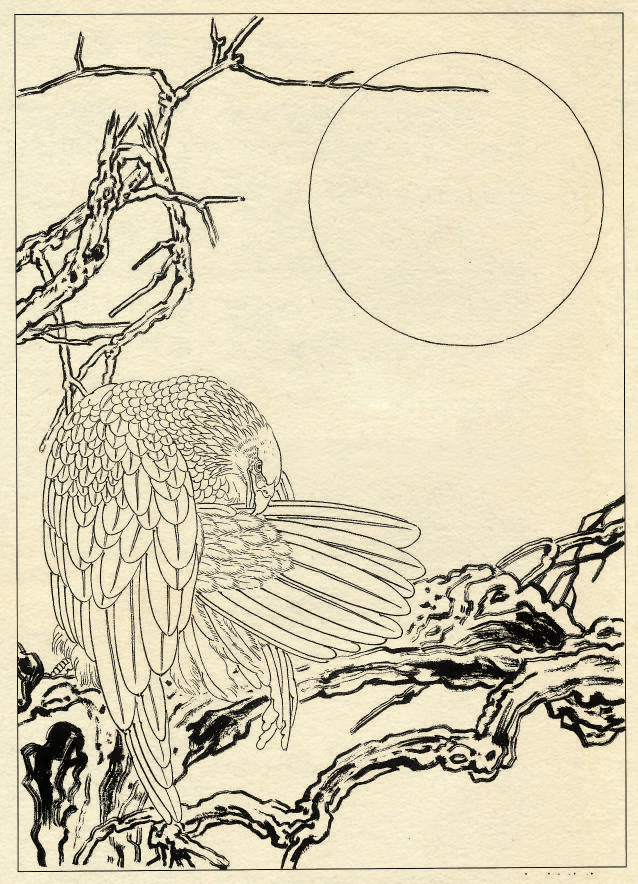 白描鹰技法基础入门,工笔画素材白描鹰图漂亮