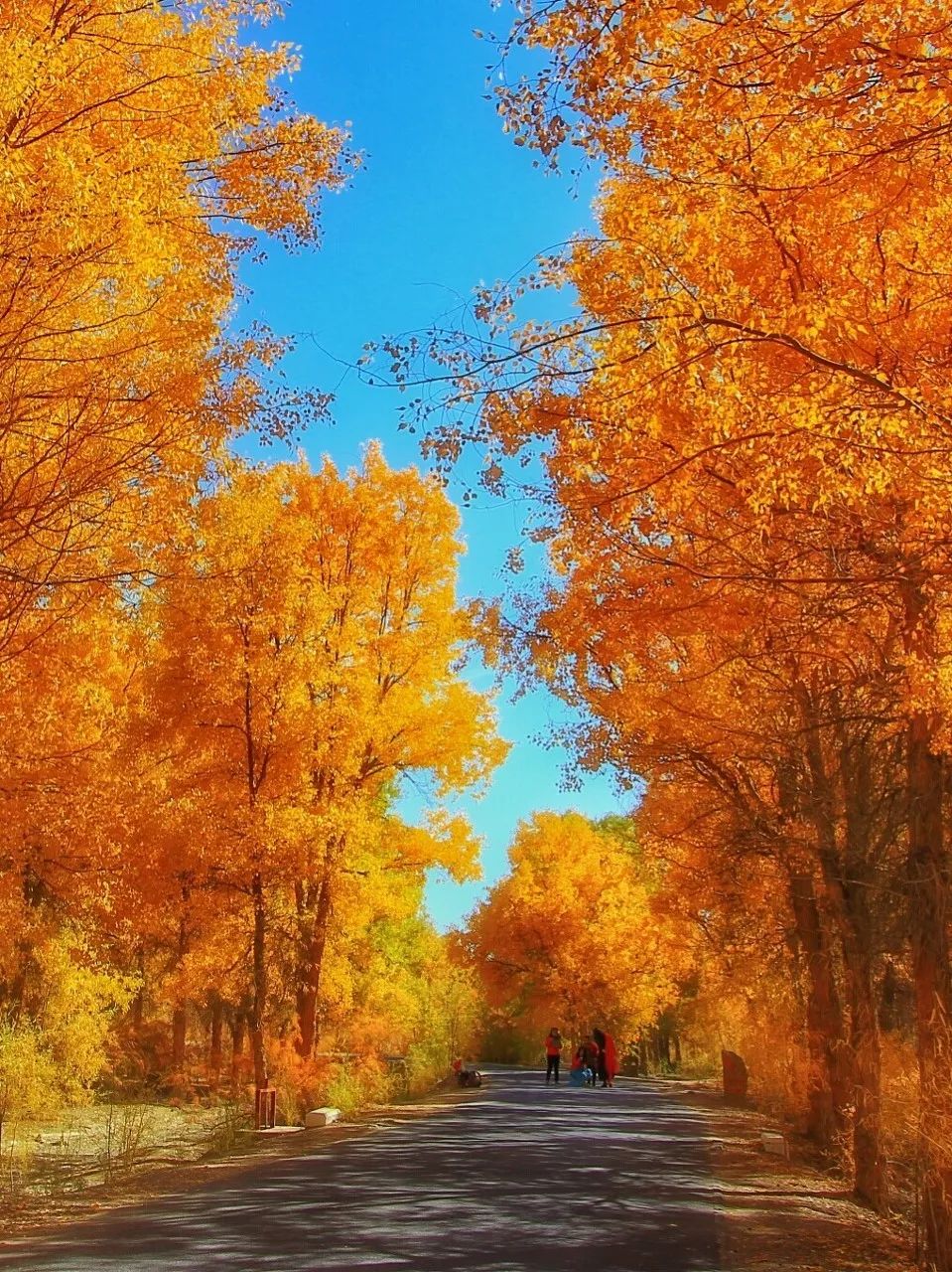 全世界景色最美的十个地方,世界上最美的26个地方你一定要去