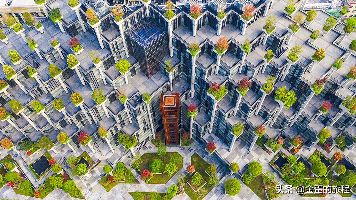 上海天安千树1分钟镜头,上海网红建筑天安千树