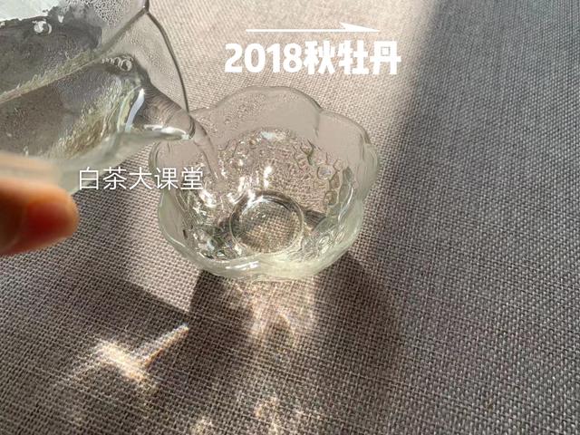 白茶究竟是什么?喜欢茶的你,这三点不妨多看