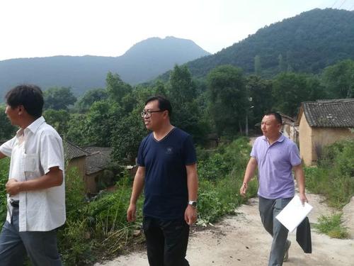 农村今后还有没有村官了？会被这三种人取代？是真是假呢？