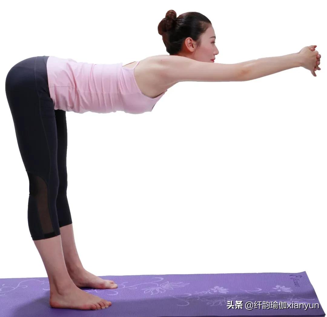 入门基础瑜伽每天必练8个动作,8个入门级瑜伽动作适合初学者