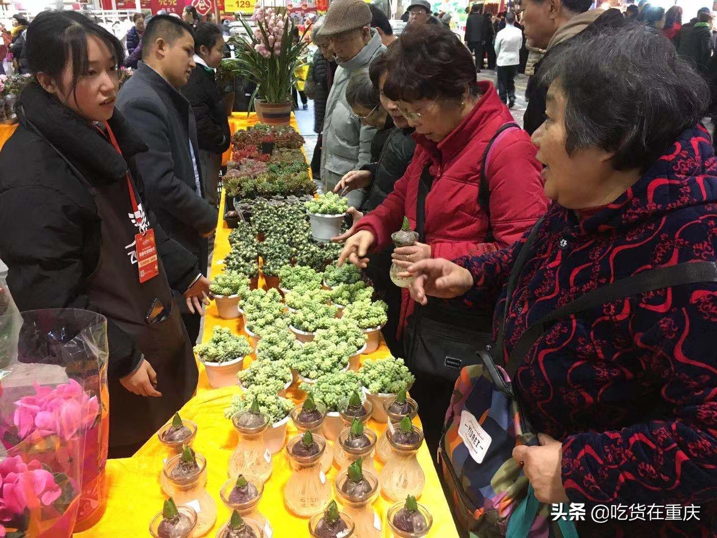 重庆春节年货展销会什么时间举行,重庆年货节展销会