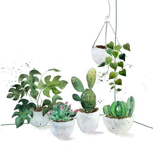 一组小清新的水彩绘画绿植素材,手绘水彩植物手帐