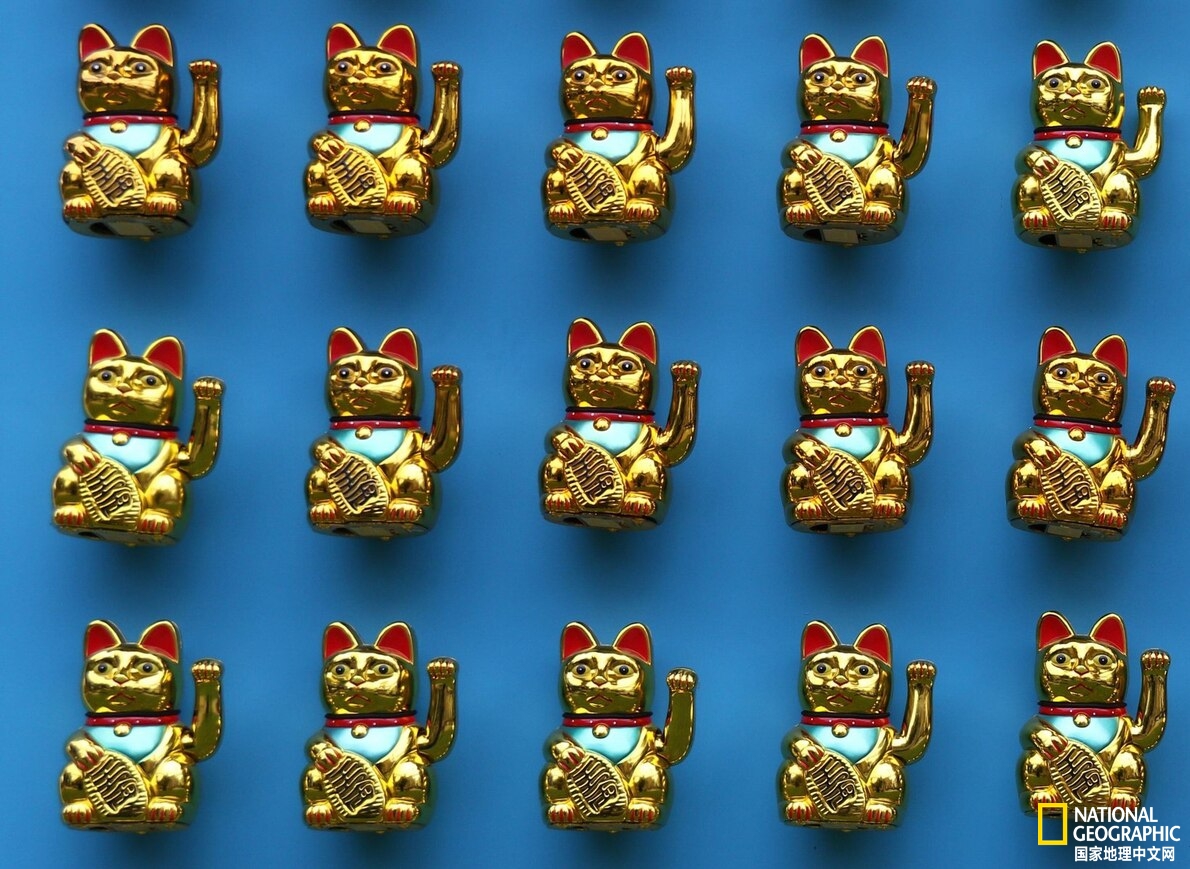 招财猫怎么火起来的,正宗的招财猫