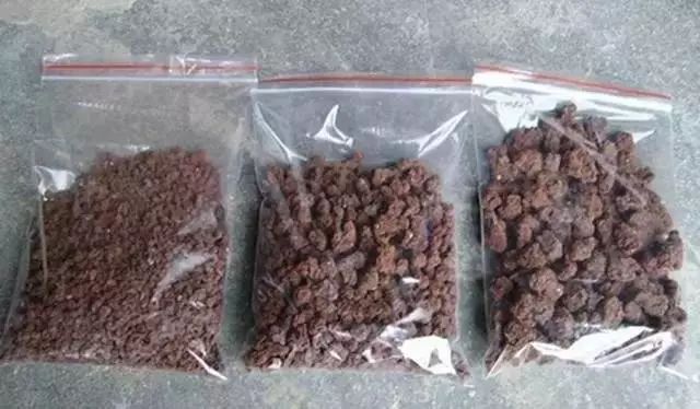 养花种植技术大全及配土,家庭养花如何使用绿沸石配土