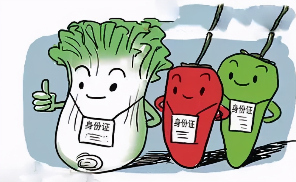 剁手前先看什么,剁手党的注意事项