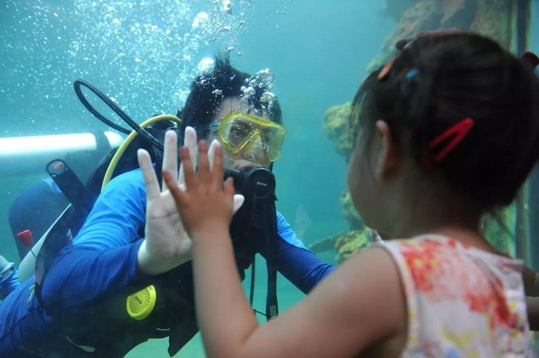 长鹿旅游休博园怎么玩？一条短视频告诉你，不然白来了