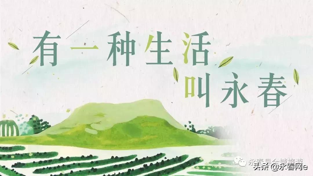 永春岵山荔枝节几点开始,永春岵山第十一届荔枝节