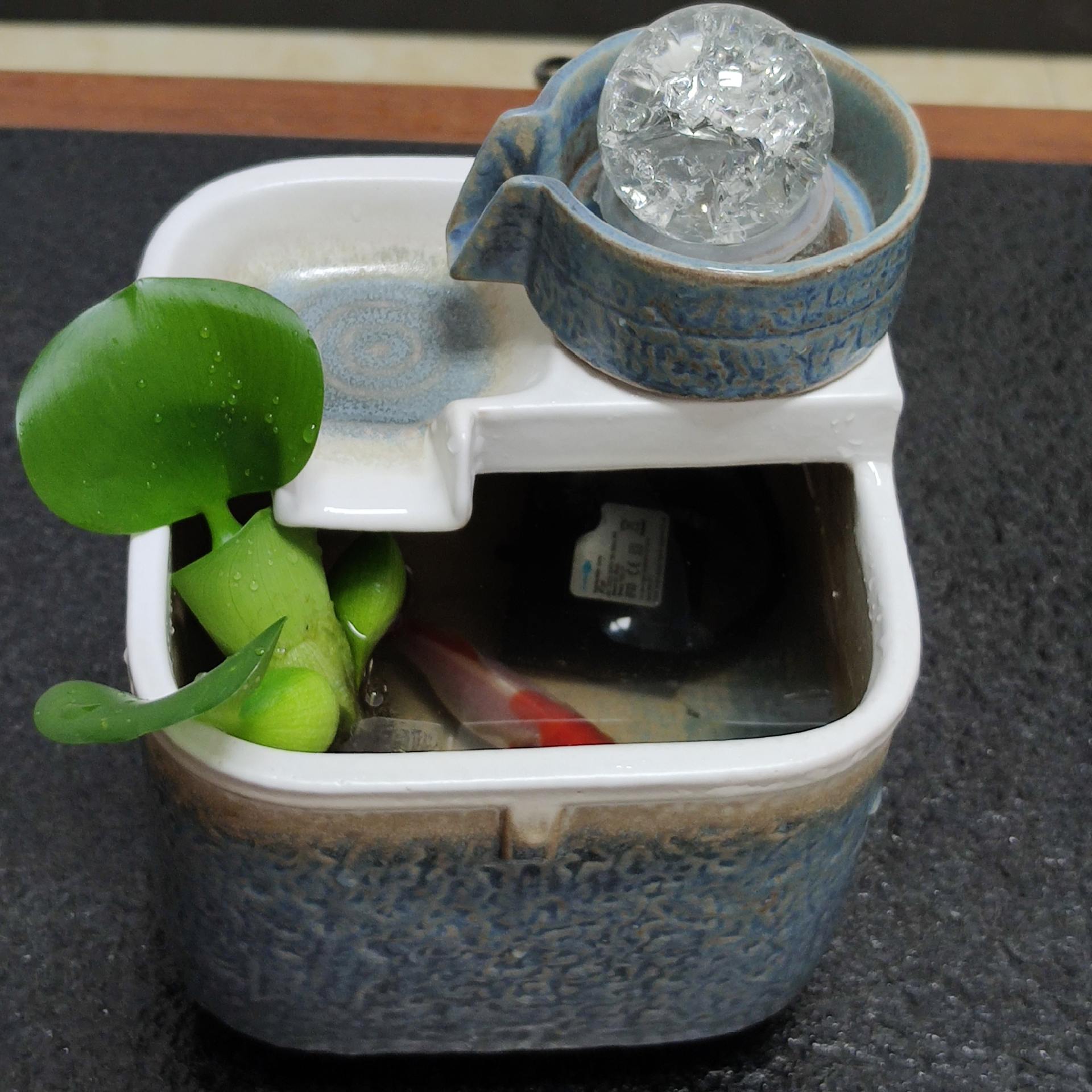 关于鱼缸的风水讲究图片,鱼缸的风水知识禁忌