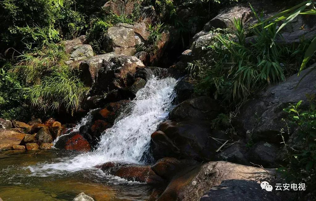 云雾山云遮雾绕，景象万千！重阳节，登高去