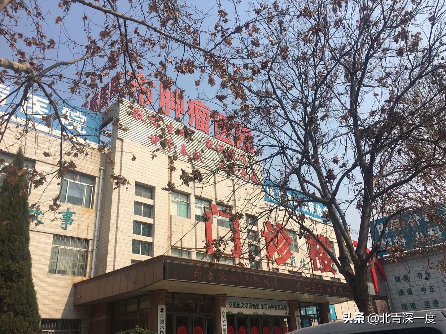 聊城假药案进展,聊城假药案最终结果