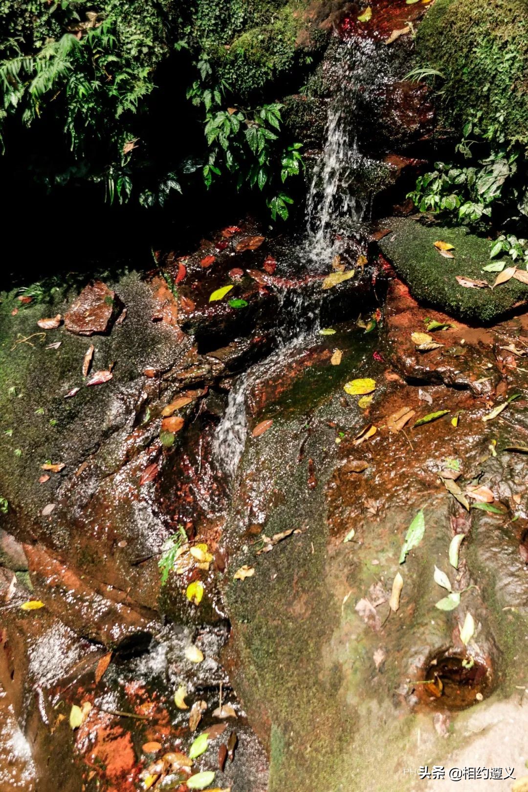 赤水大瀑布 侏罗纪公园 (贵州赤水侏罗纪公园攻略)