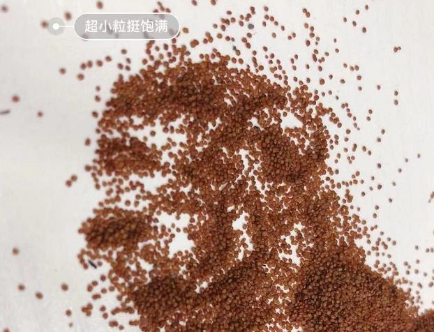 为什么海藻面膜会增大毛孔,为什么海藻面膜很便宜