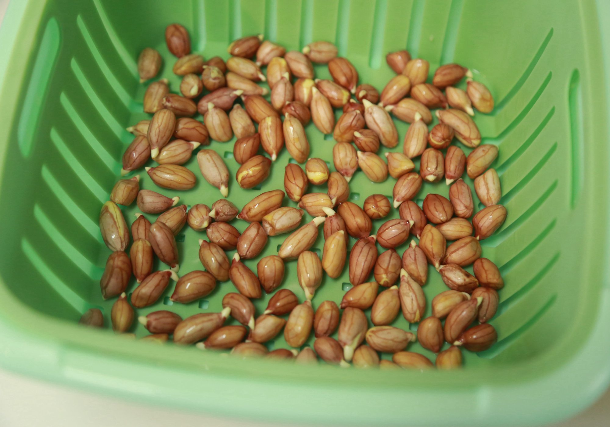 养生堂生发妙招,增长生发精华