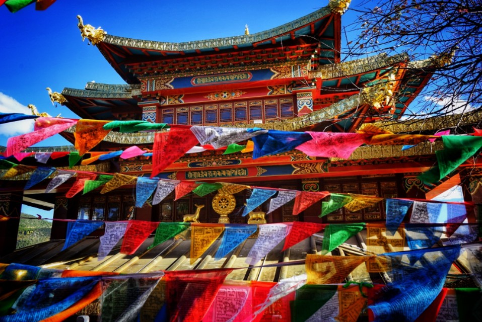 最美的季节遇见最美的你 (最美的季节遇见最美的你散文)