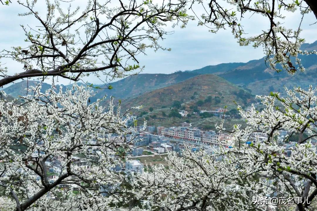 你们眼中的信宜是怎样的呢,信宜是一个怎么样的地方